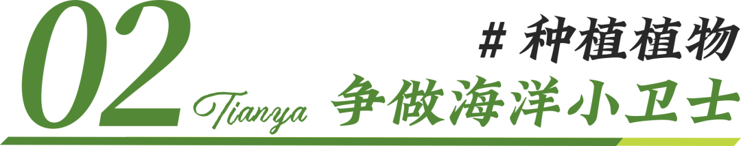微信图片_20230525084741.png